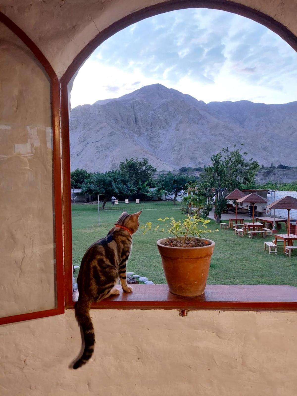 La Fortaleza Del Inca ลูนากัวนา ภายนอก รูปภาพ
